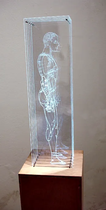 Homo Digitalis