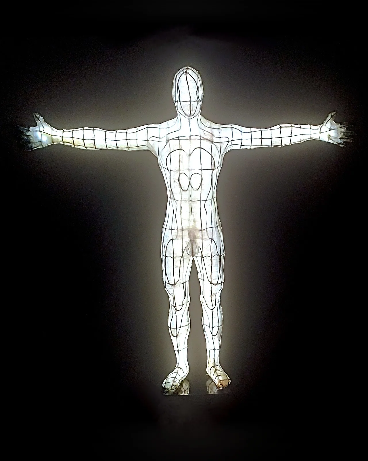 Vitruvian Man